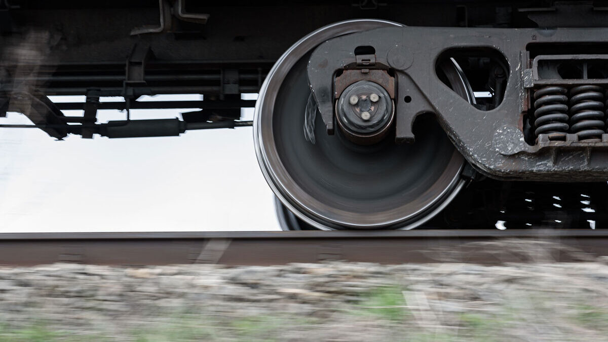 Woman who refused to get off the train in Germany bit a police officer