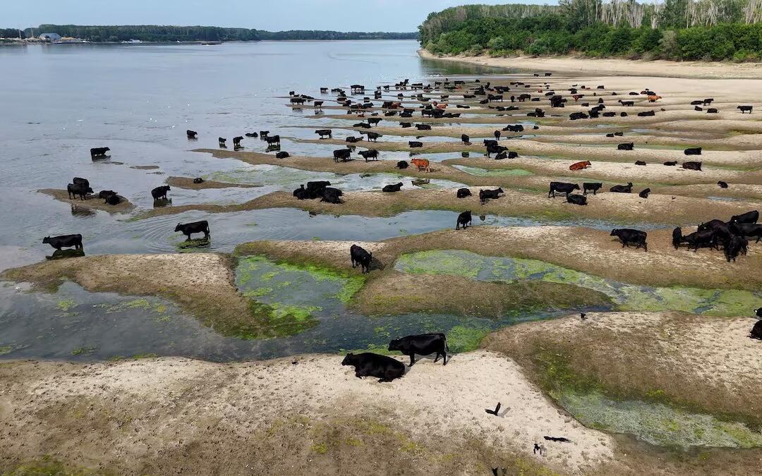 Record drought in the Danube River: water level has dropped to a historical minimum