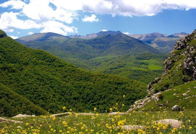 Qarabağ National Park is being created – DECREE