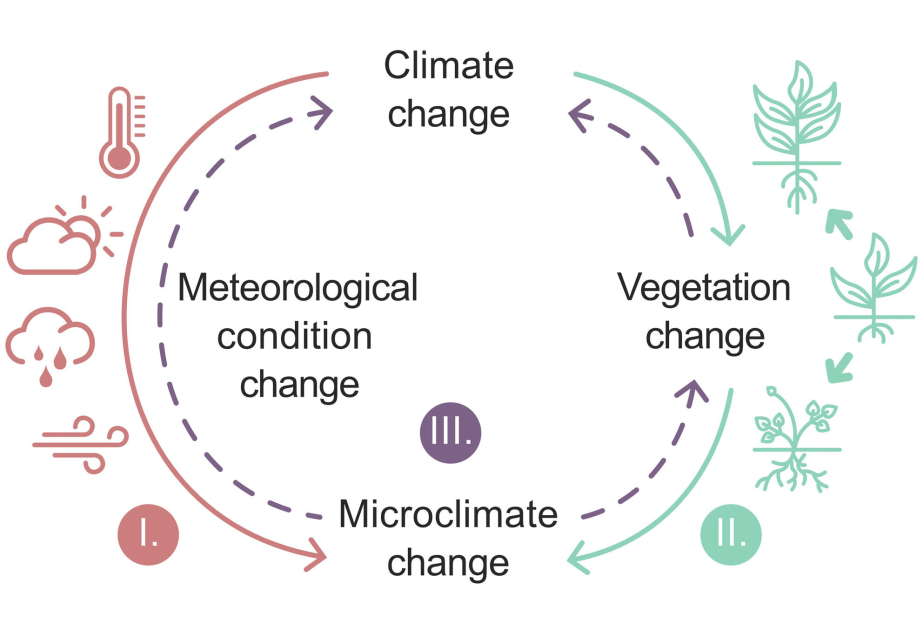 Climate change causes different temperature variations in the same area – research