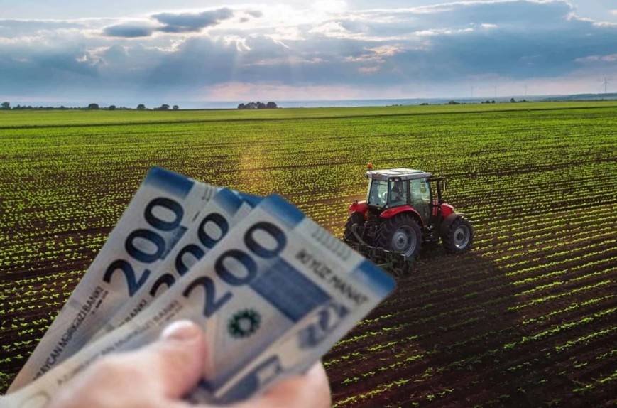 Legal status of agricultural subsidies to be defined by law