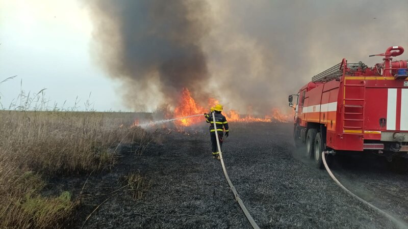 Strong fire broke out at hunting farm in Jalilabad