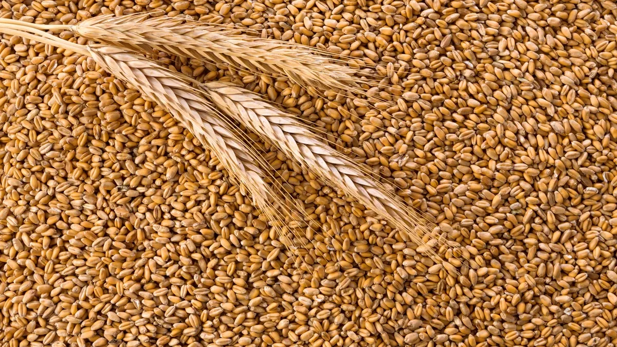 Azerbaijan increases its wheat import costs by nearly 19%