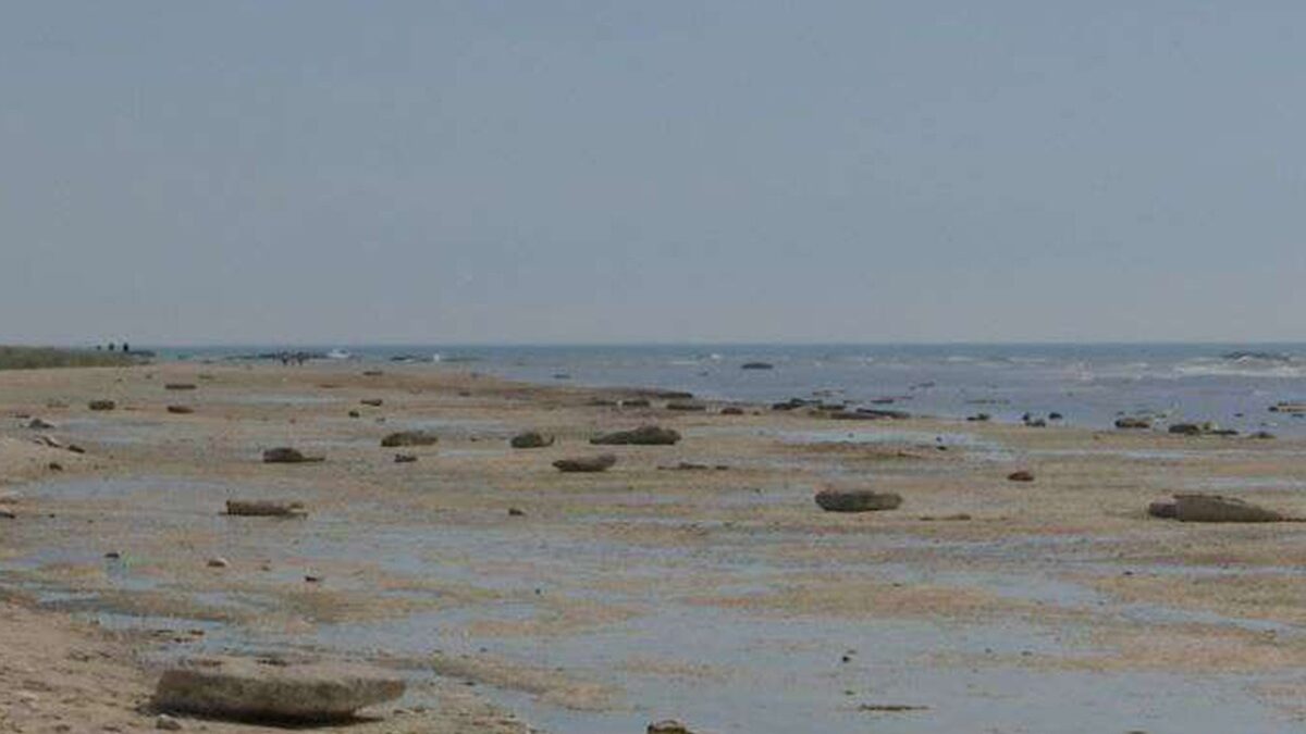 Alarm over the Caspian: The sharp decline in the sea’s water level is not only an environmental but also an economic and strategic problem – ANALYSIS
