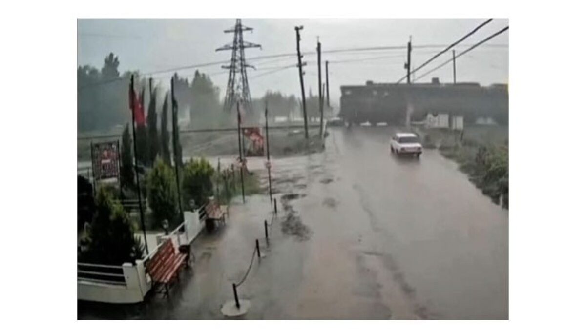 Traffic Police Warn About Level Crossings – VIDEO