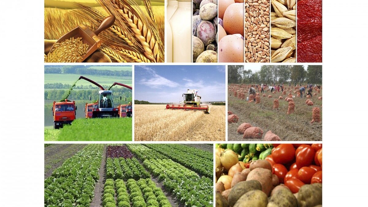 In 9 months, agricultural products worth 12 billion manats were produced in Azerbaijan