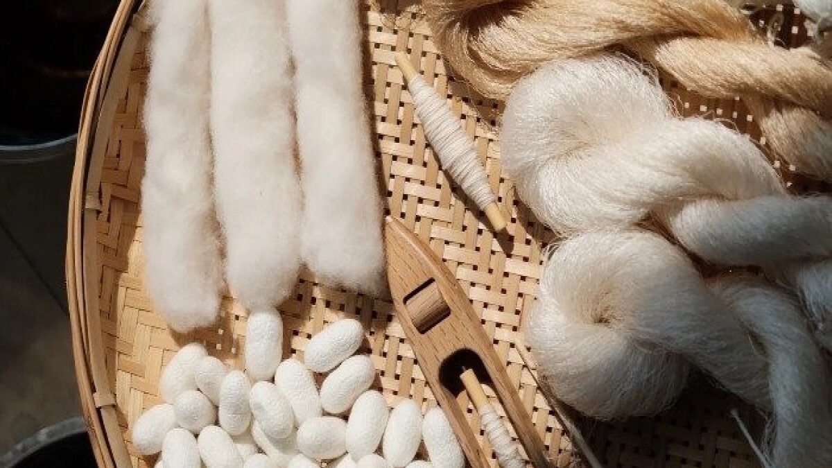 This year, Azerbaijan has earned over $400,000 from silk exports