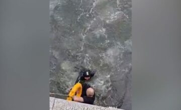 Person Rescued from Drowning Threat on the Boulevard