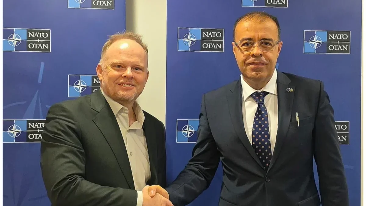 Future Prospects of Azerbaijan-NATO Cooperation Discussed