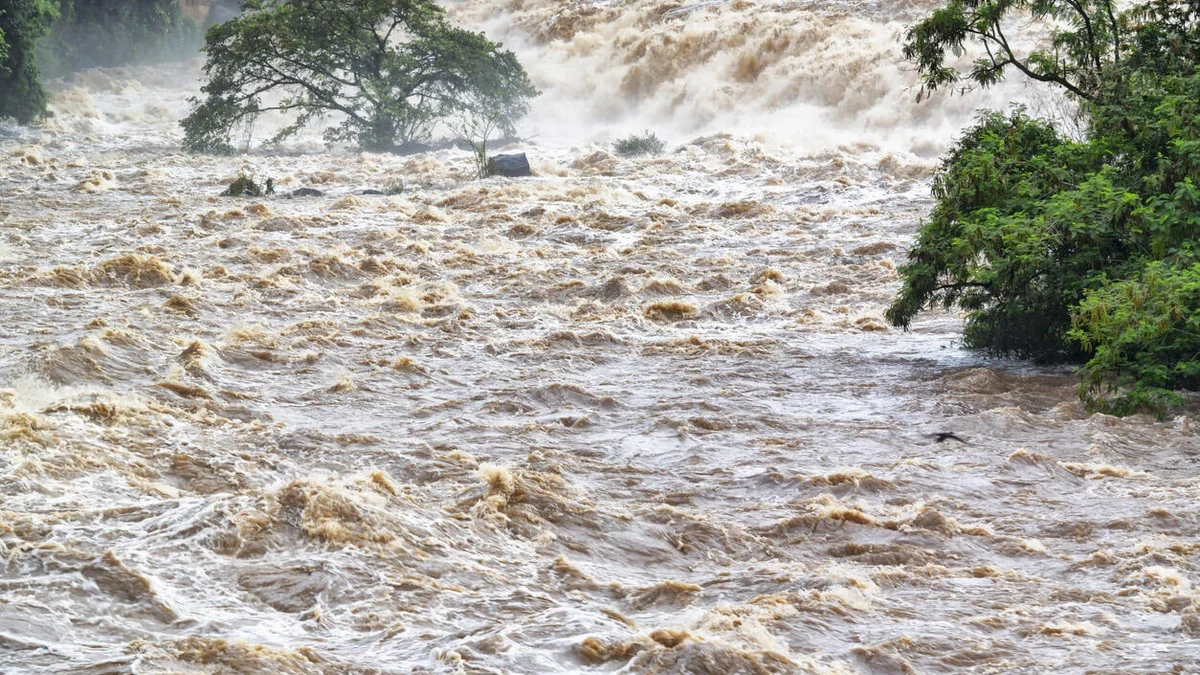 Rain expected in some regions, floods in rivers – WARNING