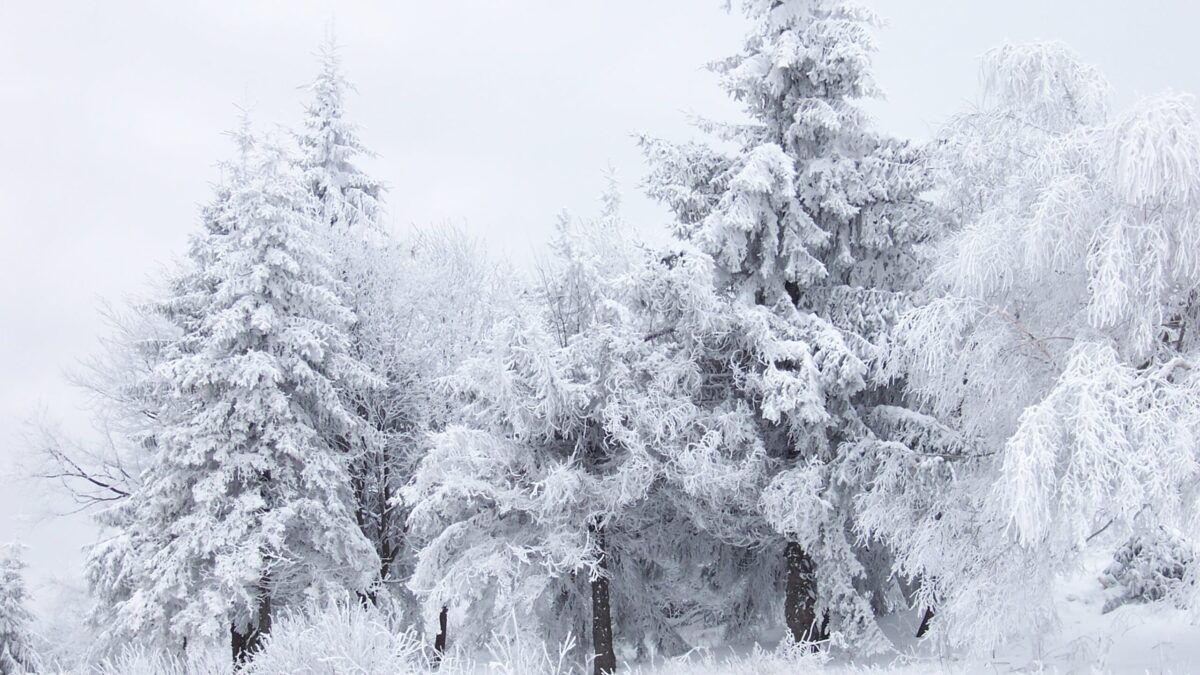 Snowfall in Ordubad – ACTUAL WEATHER