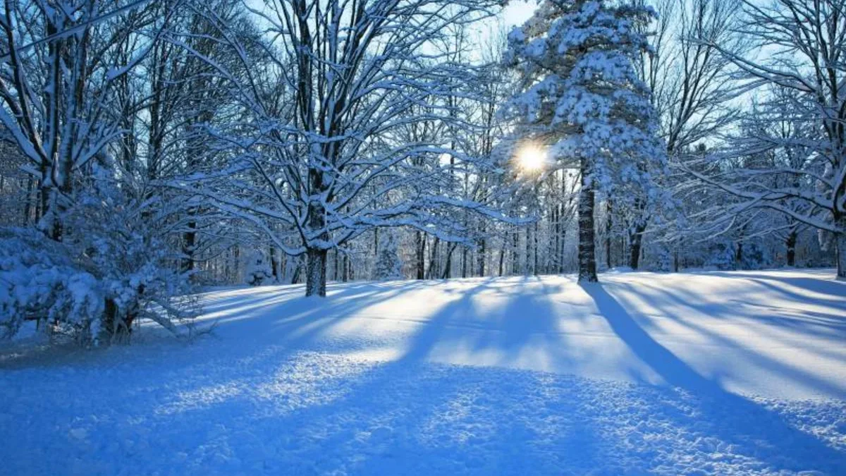 Snowfall in several regions of Azerbaijan, heavy rains continue – Actual weather