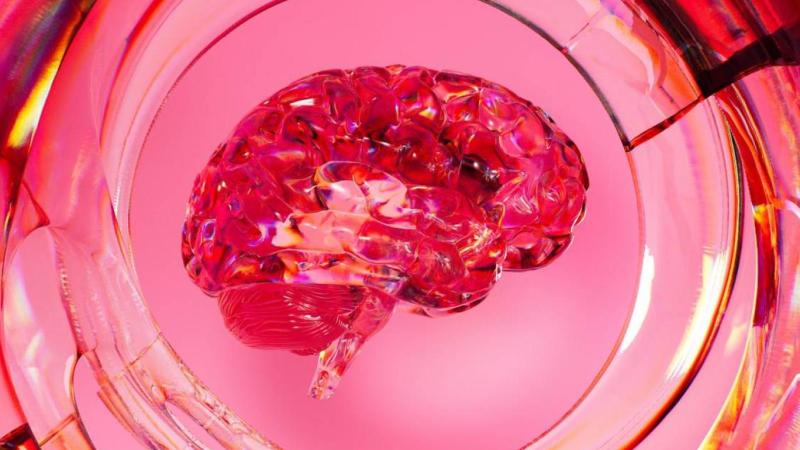 NASA’s Miniature Human Brains Arrive at Space Station