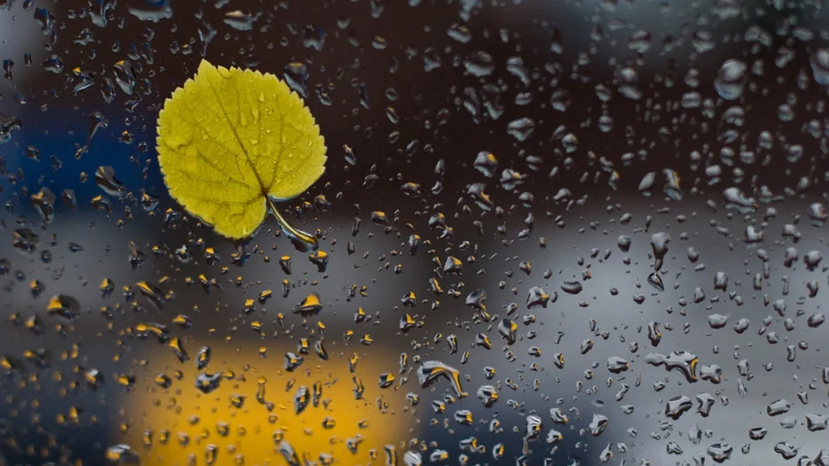 Rain expected in Baku and some regions tomorrow