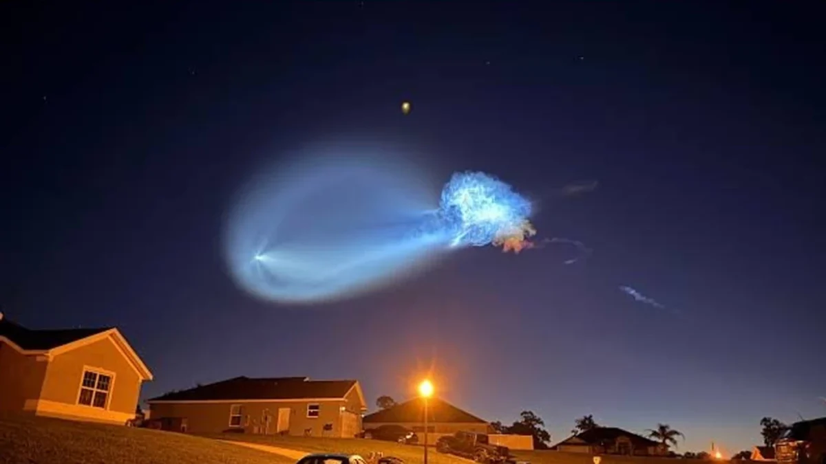 Giant jellyfish appears in the sky! The reason has been revealed