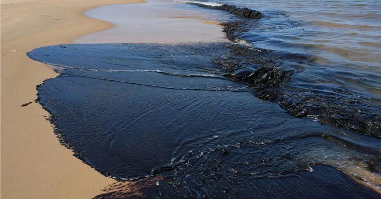Oil spill in the Persian Gulf: All beaches in Sharjah closed