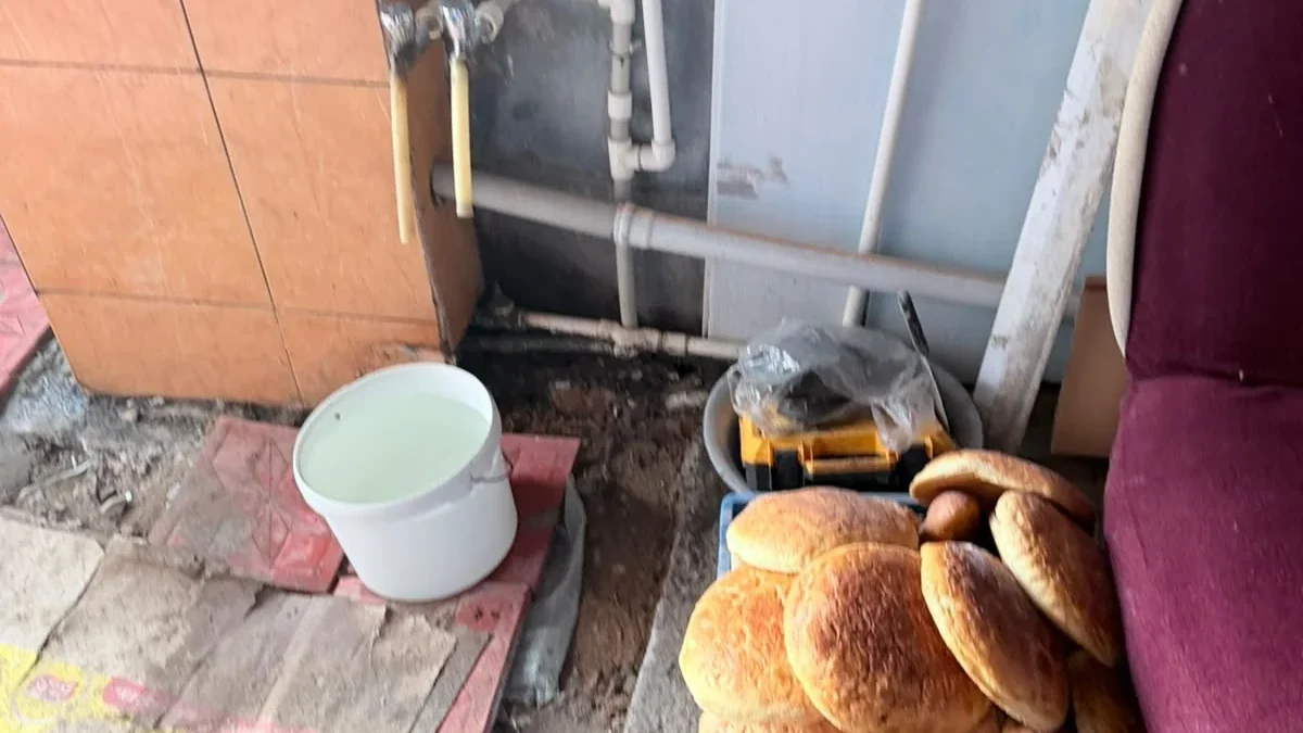 AQTA: Control measure implemented regarding bread transported in unsanitary conditions