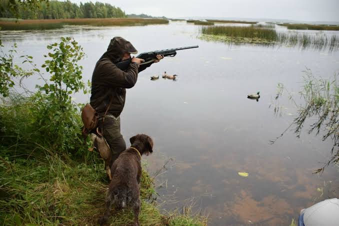 Hunting season begins in Azerbaijan this week