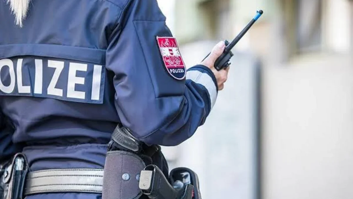 4 Ukrainian citizens detained in Vienna on suspicion of espionage